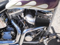 big dog motorcycle purple white